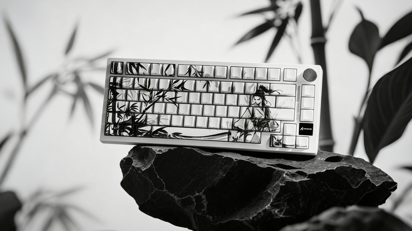 Wasser auf Ihre mechanische Tastatur verschüttet? So gehen Sie jetzt genau vor
