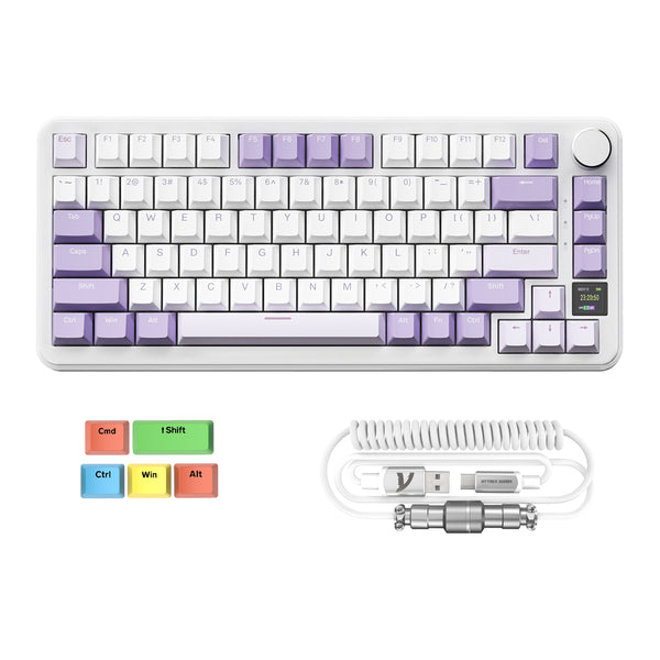 Lavendel (mit C01PRO-Kabel) / Blueberry-Schalter (Linear)